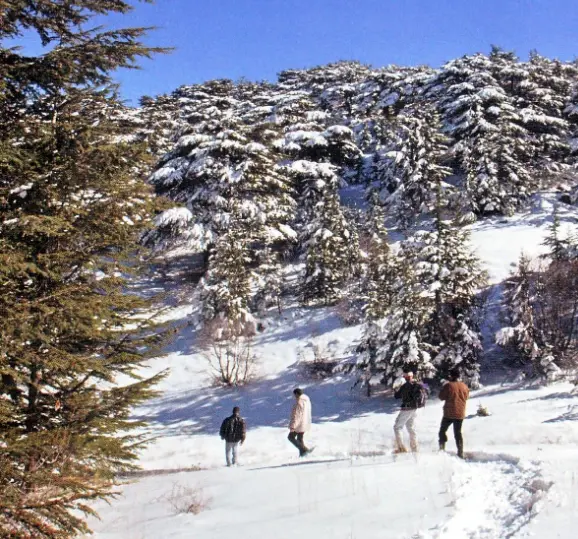 اماكن سياحية في لبنان في فصل الشتاء